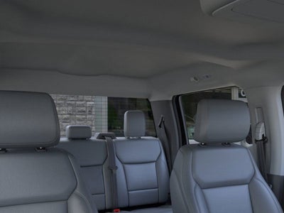 2025 Ford F-150 Lightning Flash™