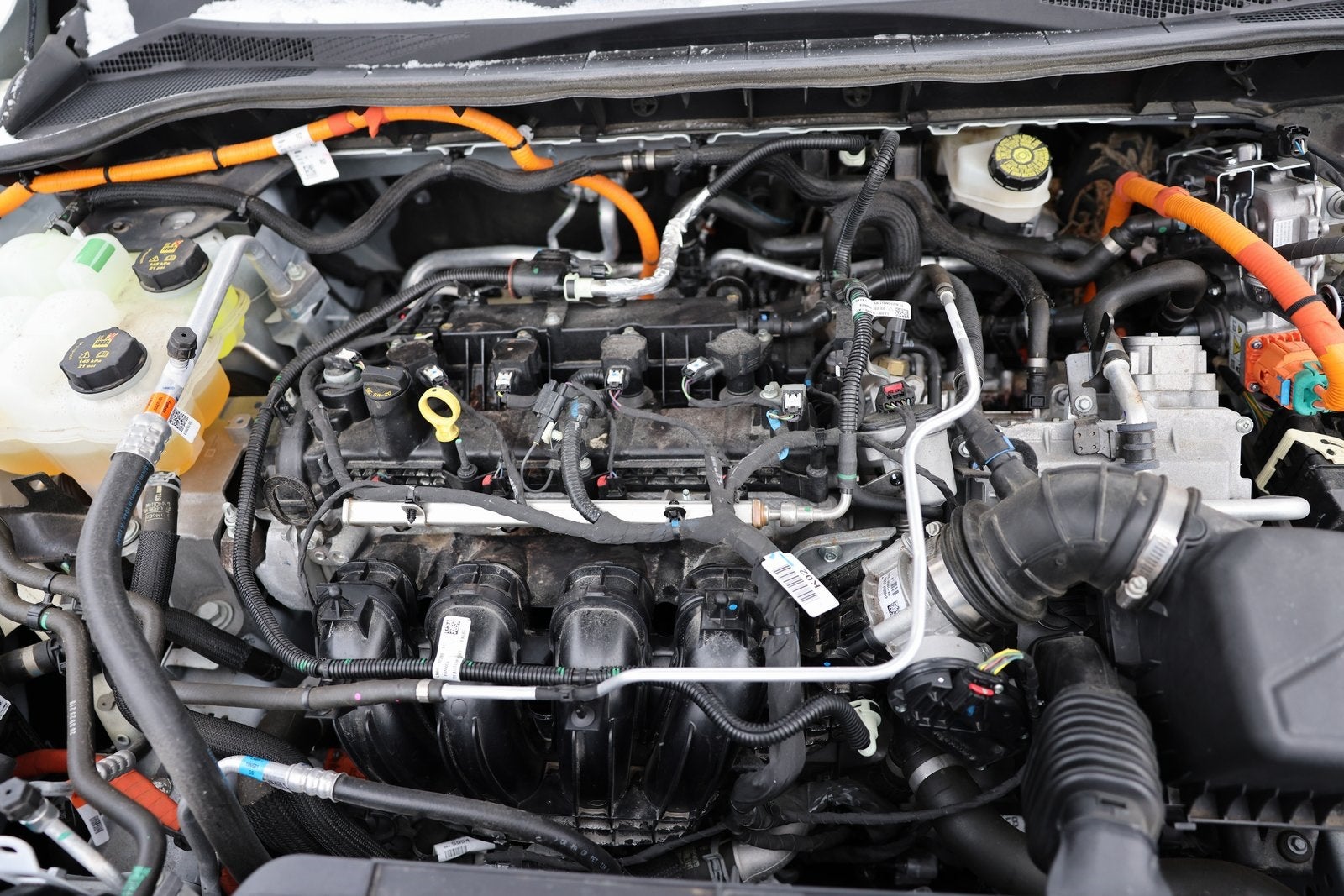 2023 Ford Escape Hybrid ST-Line Elite