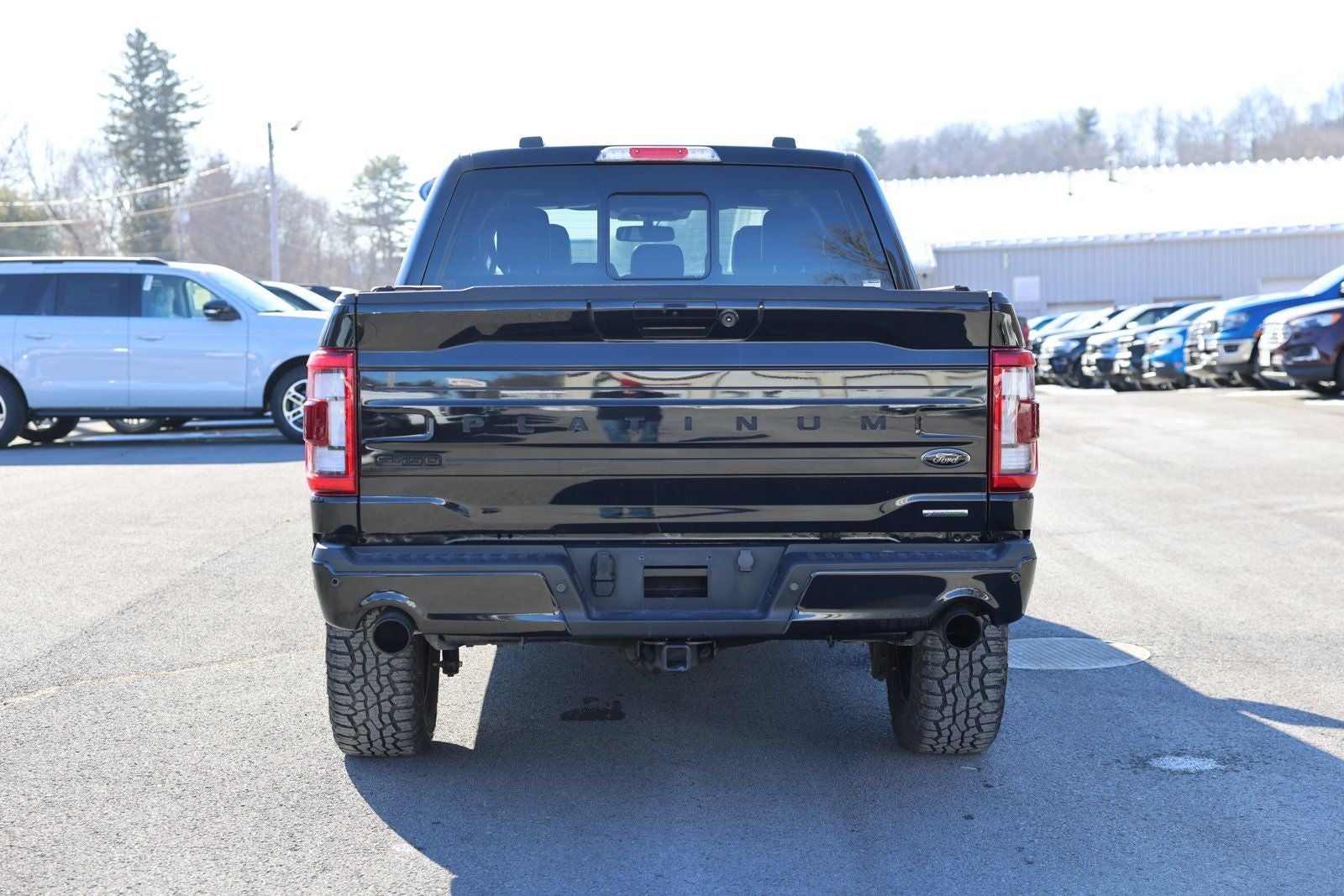 2023 Ford F-150 Platinum