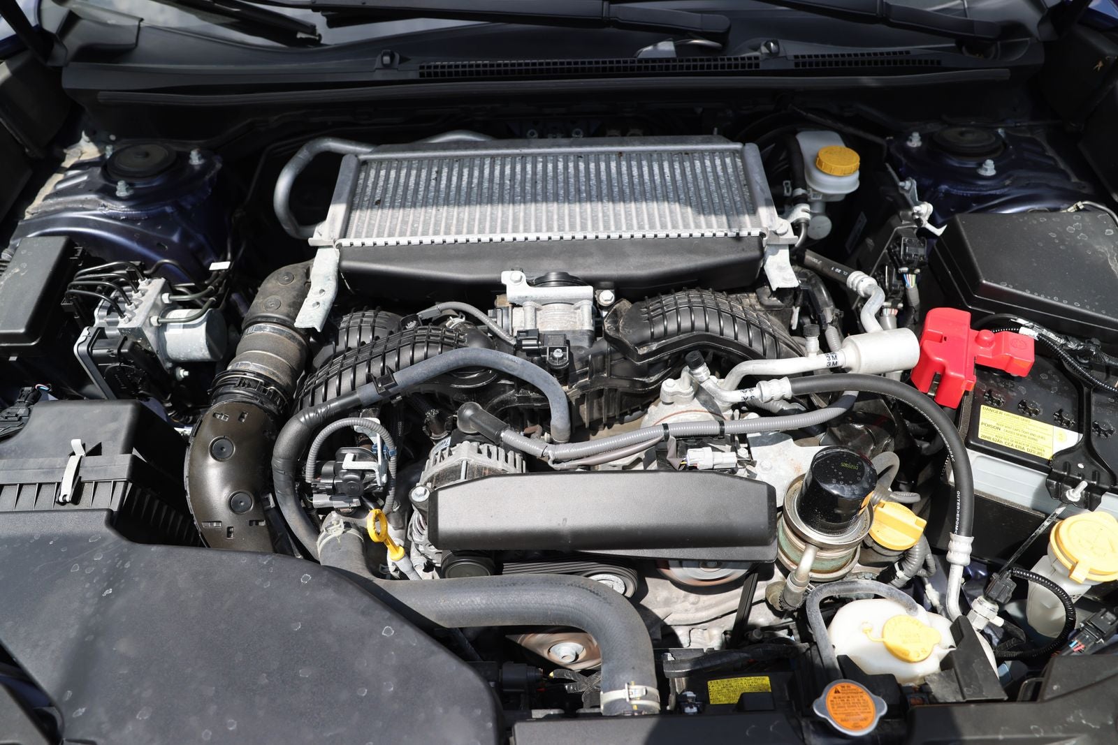 2024 Subaru WRX Base
